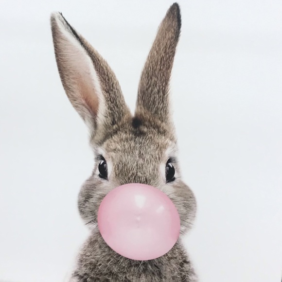 Meet your Posher, Taylor - Picture 1 of 1